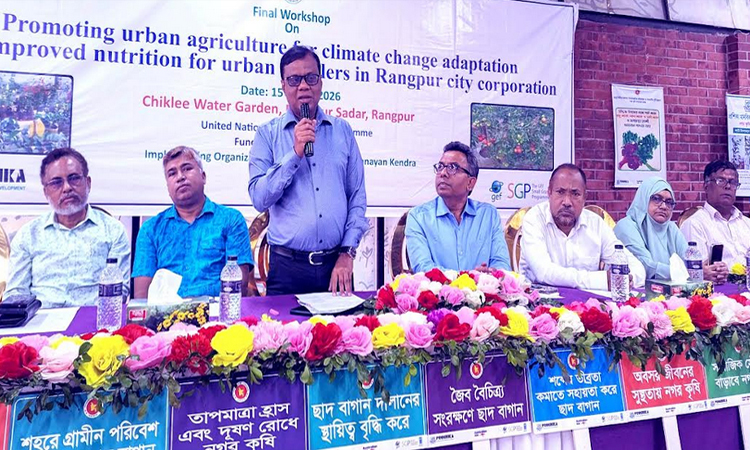 Experts see rooftop farming easing heat in Rangpur city