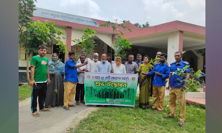 Tree plantation drive launched in Gaibandha