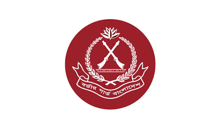 BGB seizes Indian sarees in Cumilla