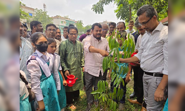 RCC Administrator inaugurates tree plantation at Rajshahi Court Academy