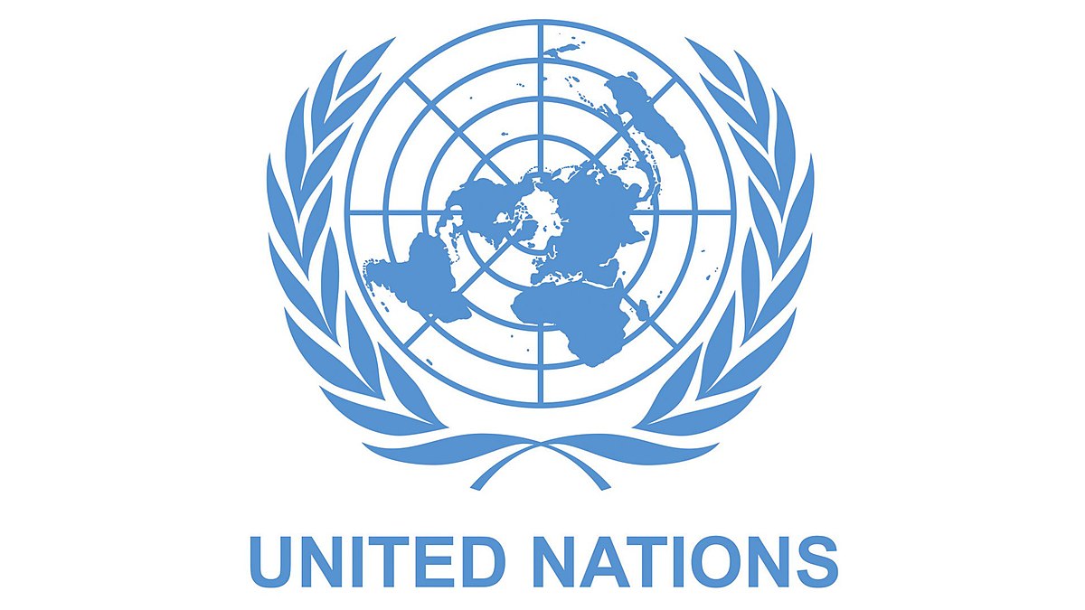 Freedom of expression 'shrinking dangerously': UN expert