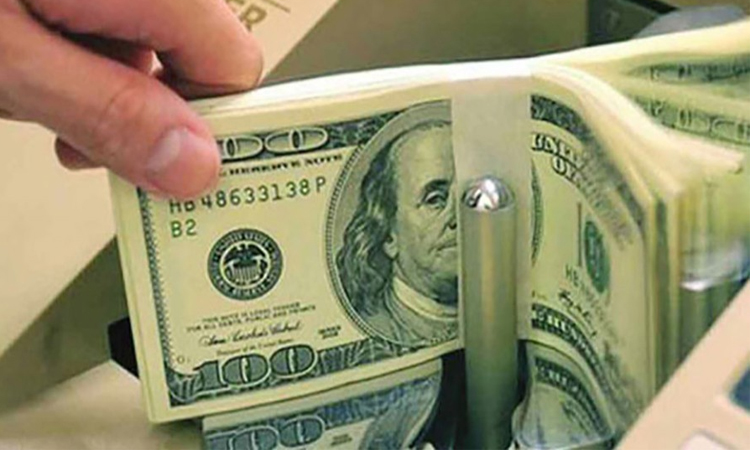 Remittance inflow remains strong with 18.1pc FY growth