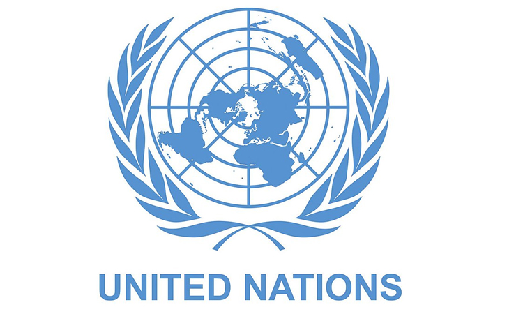UN's Eritrea expert warns of crimes against humanity