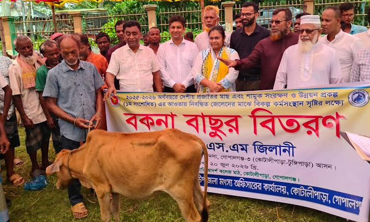 Heifer calves distributed among registered fishermen in Gopalganj