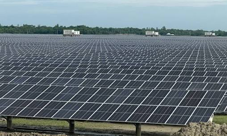Asian Paints unveils 850 kWp Solar Power Project at National SEZ