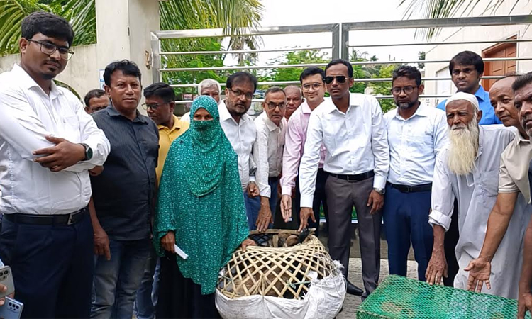 164 families receive ducks to boost livelihoods in Sirajganj