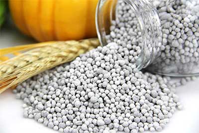 CCGP approves import of 60,000 MT fertilizers 