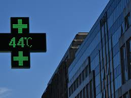 Heatwave-hit Europe must adapt healthcare: WHO