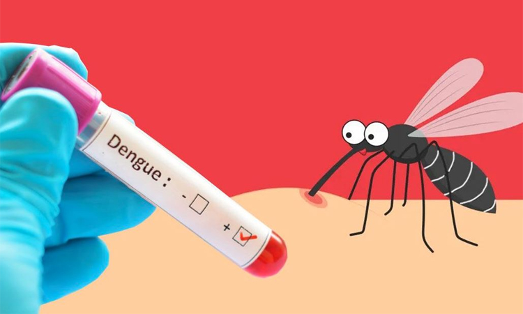 Two more die of dengue, 157 hospitalised in 24 hrs
