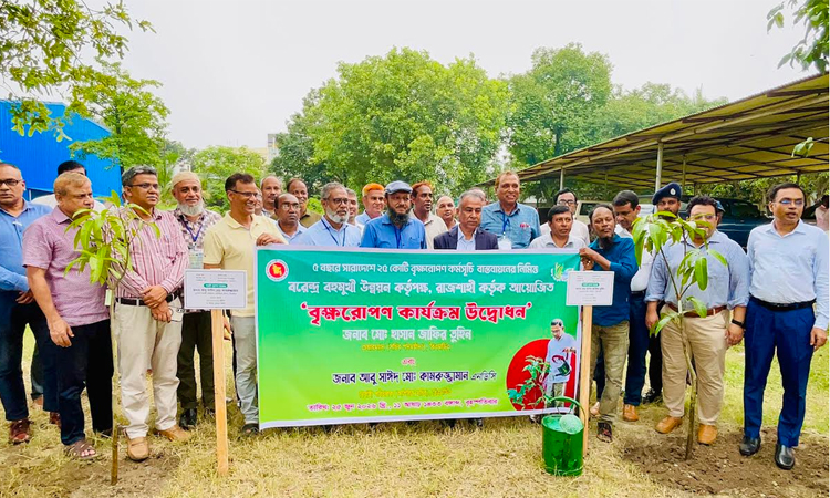 BMDA launches tree plantation to mitigate adverse effects of climate change