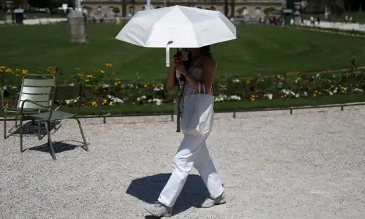 More than 1,300 excess deaths recorded in Europe heatwave: WHO