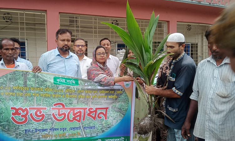 Agriculture incentive prog launched to boost Kharif season production in Bagerhat
