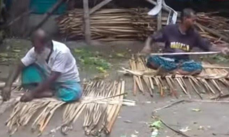 Anandanagar emerges as Bangladesh's 'Hogla Mat Village'