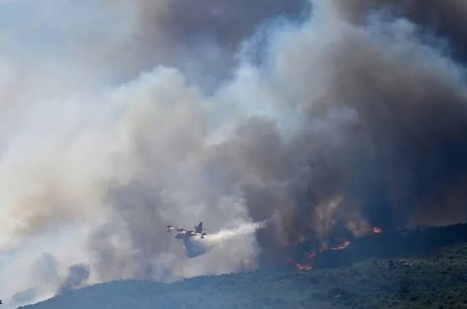 Infernos devastate forests as Europe's temperatures rise again