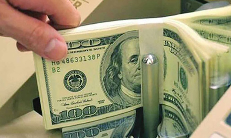 Remittance inflow rises 23.8pc to $1.325b in July 12 days
