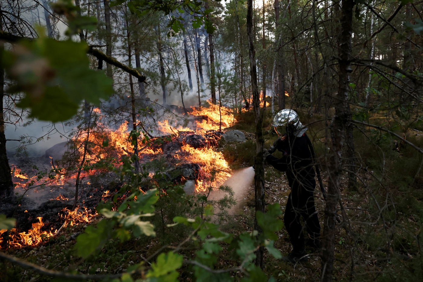 Wildfires ravage over 1,300 hectares of historic forest near Paris