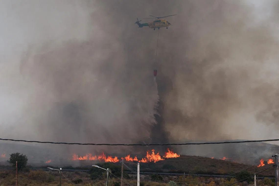 Spain confirms 12 foreigners among 13 wildfire victims