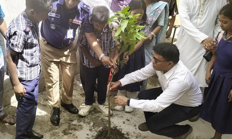 Tree plantation inaugurates in Rajshahi Govt Primary Schools