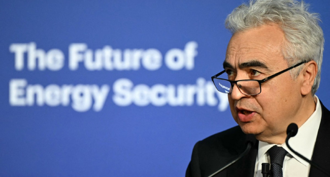 Investment in critical minerals falls in 2025: IEA