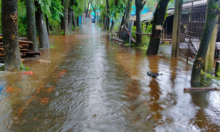 Flood situation improves in several districts; relief operations continue