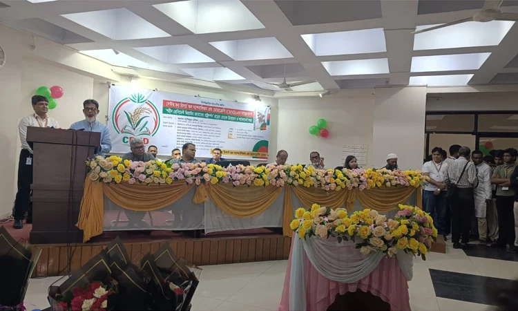 Embracing Zia’s nationalism key to national progress: State Minister Habib