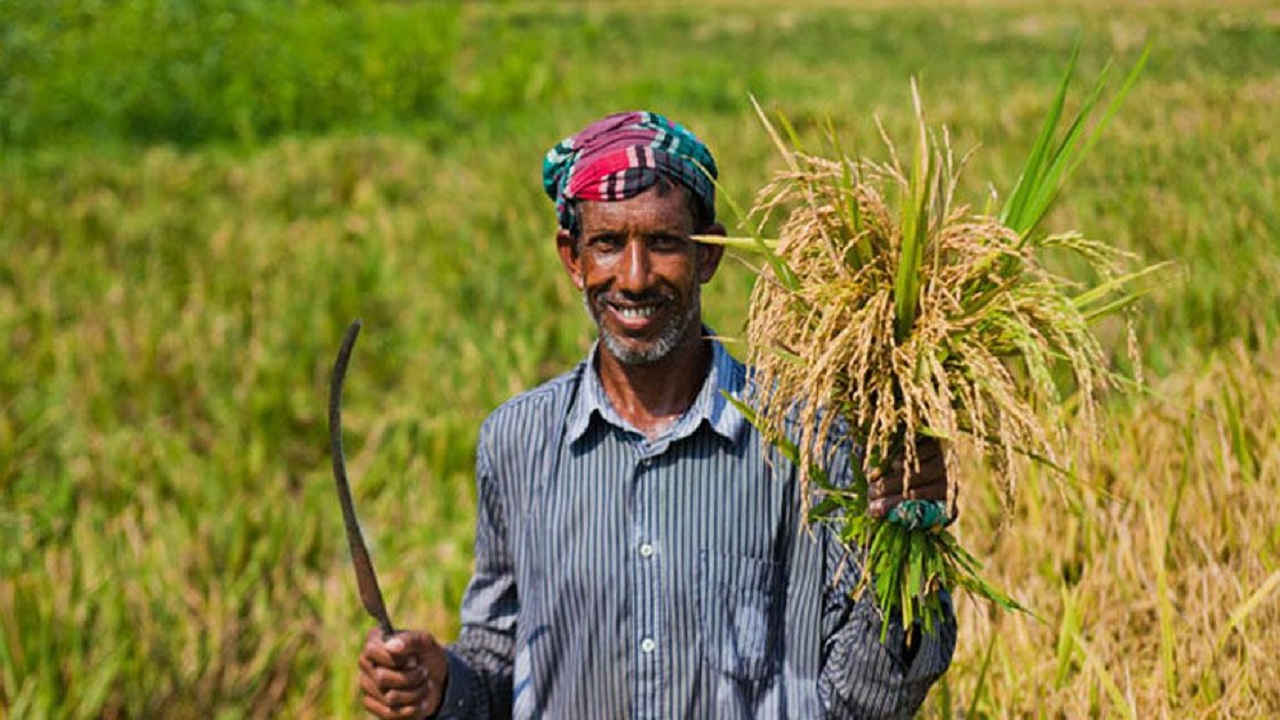 56,748 farmers in Khulna division to get agro loan waiver