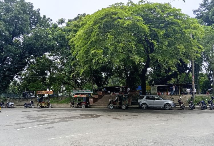 Shimla Park declared biodiversity conservation area in Rajshahi