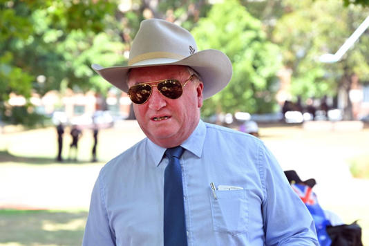 'Sit down!' Australian politician berates dog on live TV