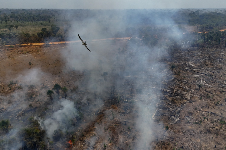 Fires in Brazil's Amazon dropped to historic low in 2025: report