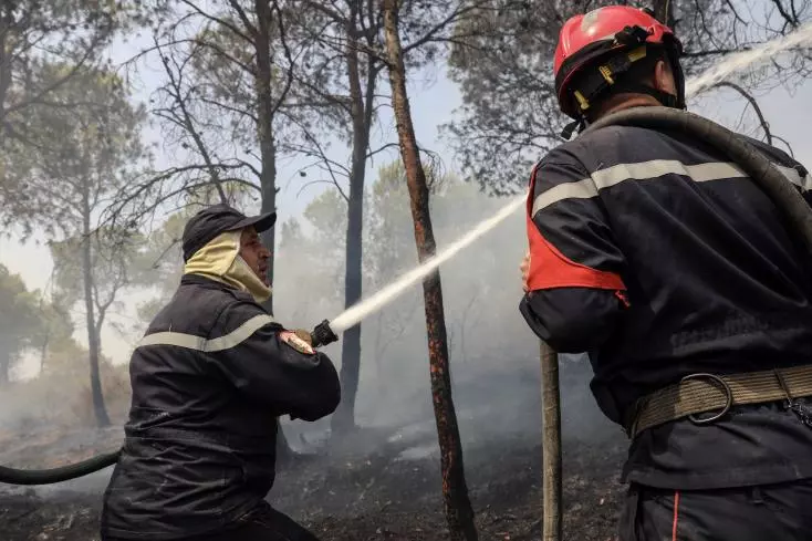 Six killed in Algeria forest fires: interior ministry