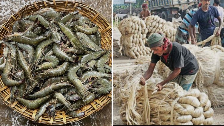Khulna region earns Tk 4,886 crore from exports in FY2025-26: EPB