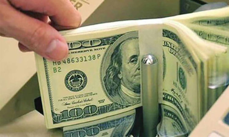 Remittance inflow rises 20.6pc to $2.30bn in 1st 25 days of July