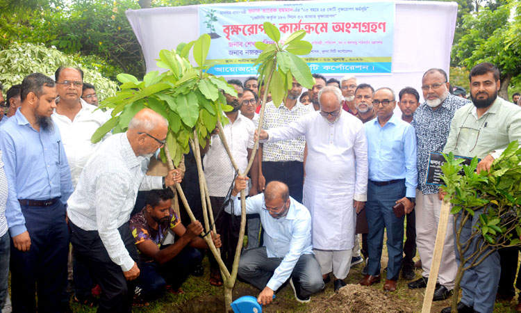 Tree planting must be followed by proper care, maintenance: State Minister