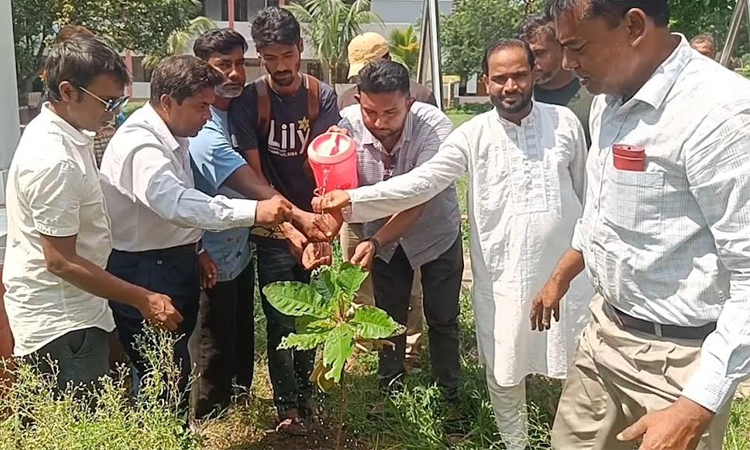 Fruit, forest tree saplings distributed among students in Rajshahi