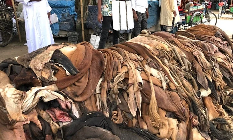 Protein filler, collagen to be produced from tannery waste