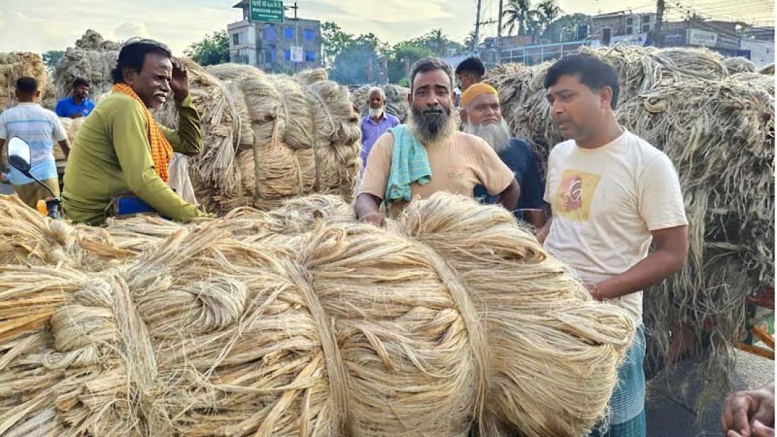 Golden fibre shines again in Rajshahi
