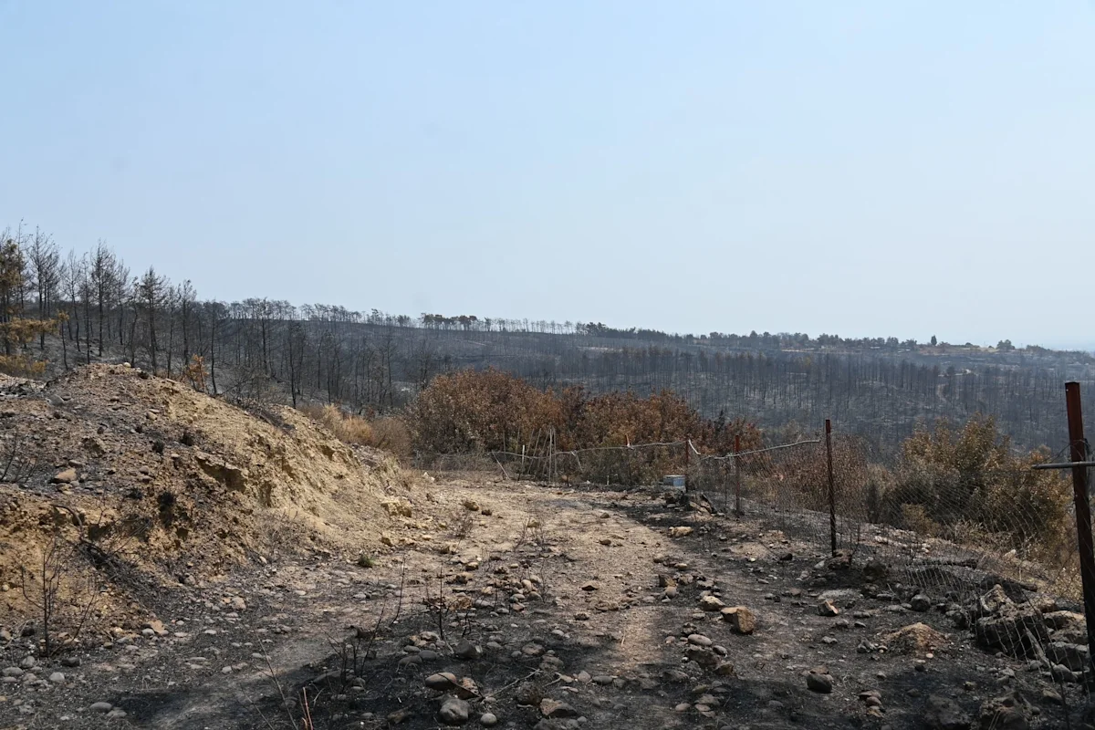 Wildfires rage near Turkey's tourist beaches