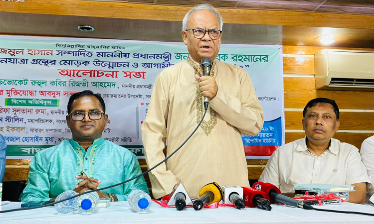 Propaganda against govt will ultimately fail: Rizvi 