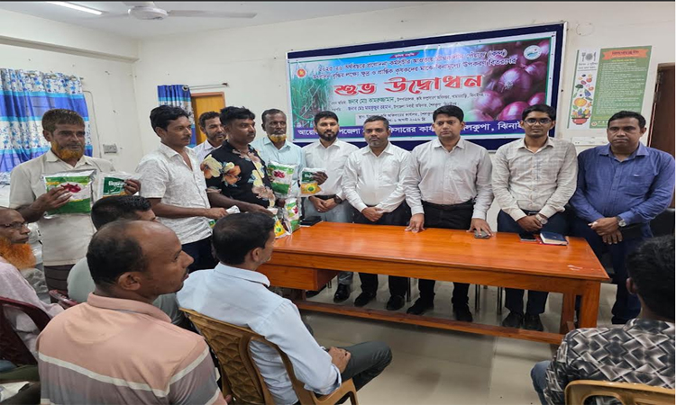 Onion seeds distributed among 3,000 farmers in Jhenaidah