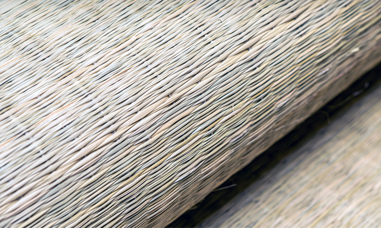 Traditional Madur or Mat-weaving industry now facing extinction 