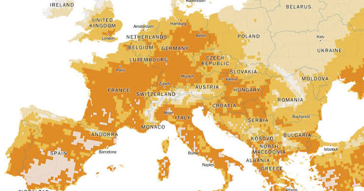 Europe braces for another summer heatwave