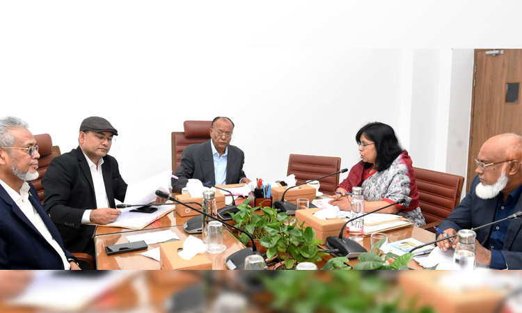 Use of eco-friendly blocks to be gradually increased: Mintoo