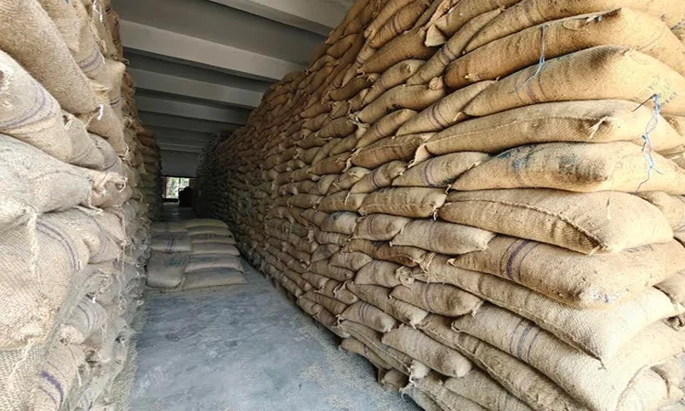Marginal farmers happy as paddy fetches fair price in Gaibandha