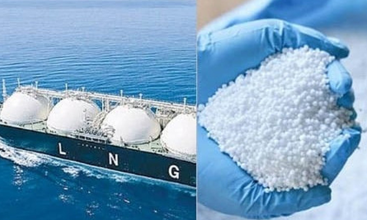 CCEA approves 14 LNG cargoes, fertiliser deal 