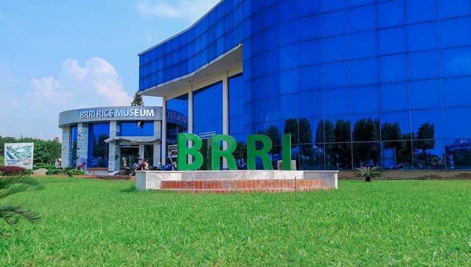 BRRI holds seminar on 'Nitrogen Management in South Asian Agriculture'