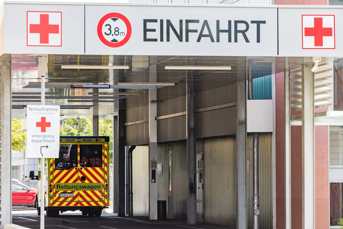 Germany logged 14,000 heat-related deaths this summer: govt data