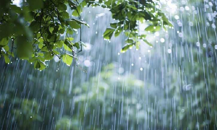 Rain likely in parts of country  