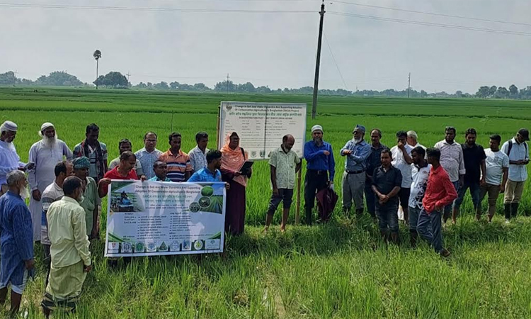 Sustainable farming technologies gain ground in Rajshahi