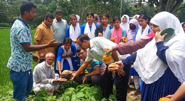 Climate-resilient tree plantation and seed sowing inaugurated in Barind Region