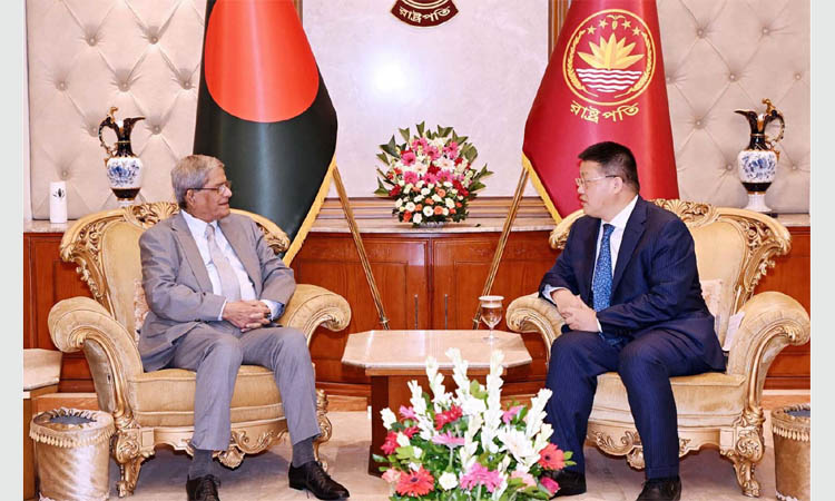 Chinese ambassador pays courtesy call on President